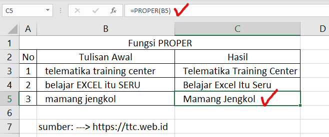 Hasil Fungsi PROPER Excel