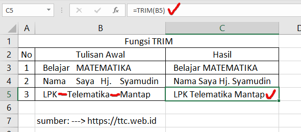 Hasil Fungsi TRIM Excel