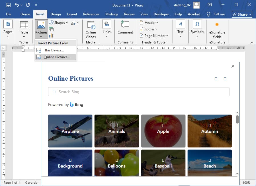 Insert online picture