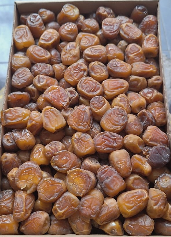 Kurma Sukari Karton