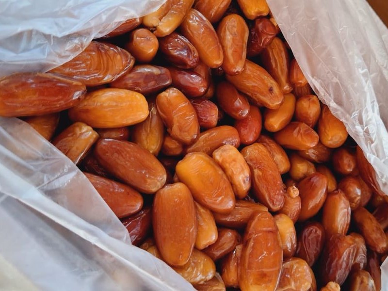 Kurma Tunis Madu