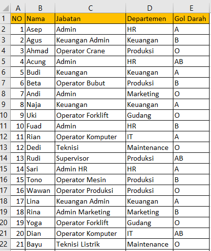 Data peserta Excel