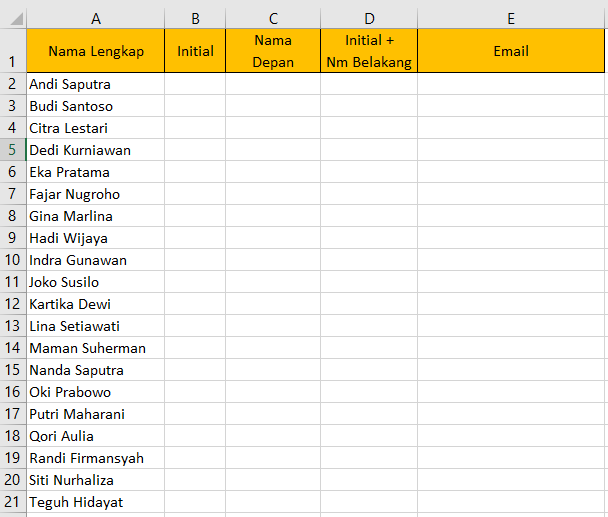 Excel name data